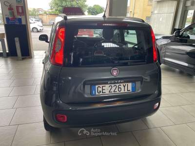 Fiat Panda Panda 1.2 Lounge - Nessun vincolo - Grigio usata COLOGNO MONZESE