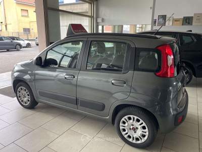 Fiat Panda Panda 1.2 Lounge - Nessun vincolo - Grigio usata COLOGNO MONZESE