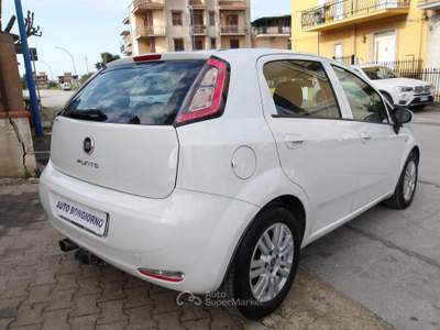 Fiat Punto 5 Porte Punto 5p 1.3 mjt II 16v Lounge usata Ribera