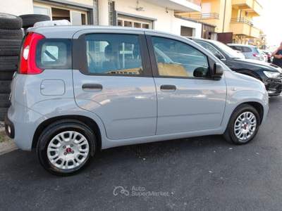 Fiat Panda firefly hybrid s&s 70cv usata Ribera