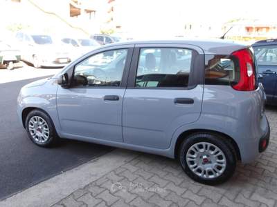 Fiat Panda firefly hybrid s&s 70cv usata Ribera