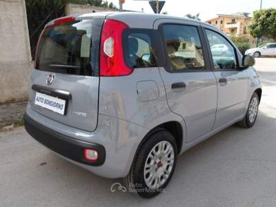 Fiat Panda firefly hybrid s&s 70cv usata Ribera