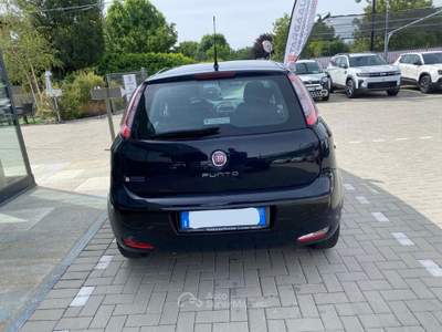 Fiat Punto Evo Punto Evo 5p 1.2 Blue&amp;Me s&amp;s Blu/Azzurro usata Pinerolo