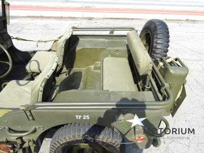 Jeep Willys 
                                                         Verde usata Cesena
