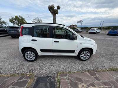 Fiat Panda 0.9 TwinAir Turbo Natural Power Lounge Bianco usata Rimini