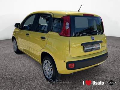 Fiat Pandina HYBRID My26 1.0 65cv Hybrid Pop Giallo usata Roma