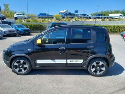 Fiat Panda Pandino  1.0 FireFly S&S Hybrid Nero usata Lucca