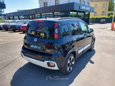 Fiat Panda Pandino  1.0 FireFly S&S Hybrid Nero usata Lucca