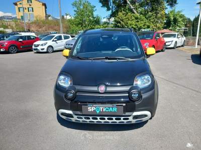 Fiat Panda Pandino  1.0 FireFly S&S Hybrid Nero usata Lucca