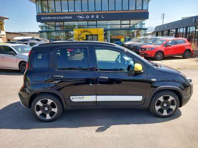 Fiat Panda Pandino  1.0 FireFly S&S Hybrid Nero usata Lucca