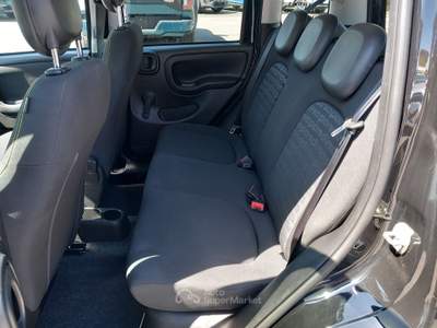 Fiat Panda Pandino  1.0 FireFly S&S Hybrid Nero usata Lucca