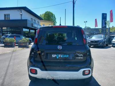 Fiat Panda Pandino  1.0 FireFly S&S Hybrid Nero usata Lucca