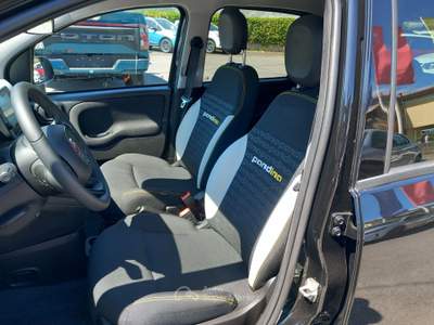 Fiat Panda Pandino  1.0 FireFly S&S Hybrid Nero usata Lucca
