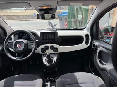 Fiat Panda Pandina Cross 1.0 firefly hybrid s Rosso usata Genova