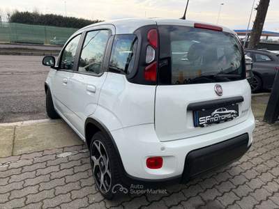 Fiat Panda Panda 1.0 FireFly S&S Hybrid Sport Bianco usata Alessandria