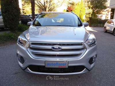 Ford Kuga Kuga 1.5 ecoboost Business Argento usata Lagundo