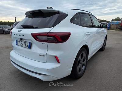 Ford Kuga full hybrid ST-Line X 2wd 190cv cvt  in perfette condizioni Bianco usata Cecina