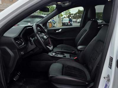 Ford Kuga full hybrid ST-Line X 2wd 190cv cvt  in perfette condizioni Bianco usata Cecina