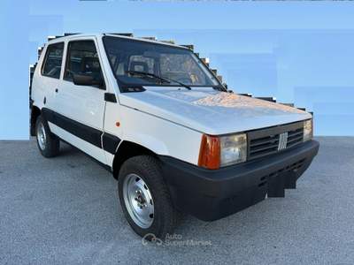 Fiat Panda 4X4 INSERIBILE Bianco usata Isernia