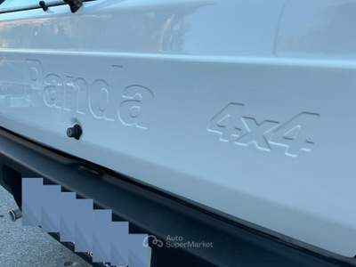 Fiat Panda 4X4 INSERIBILE Bianco usata Isernia