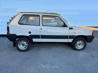 Fiat Panda 4X4 INSERIBILE Bianco usata Isernia