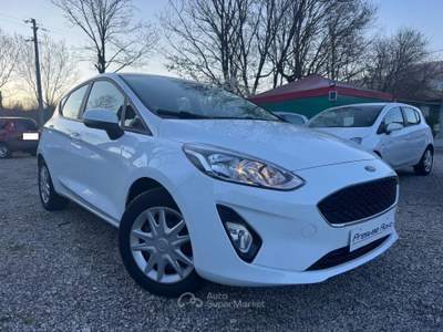 Ford Fiesta 5 PORTE PLUS UNICO PROPRIETARIO KM 83000 Bianco usata Isernia