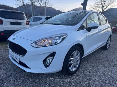 Ford Fiesta 5 PORTE PLUS UNICO PROPRIETARIO KM 83000 Bianco usata Isernia