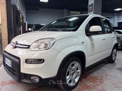 Fiat Panda Cross 1.0 FireFly S&S Hybrid Bianco usata Roma