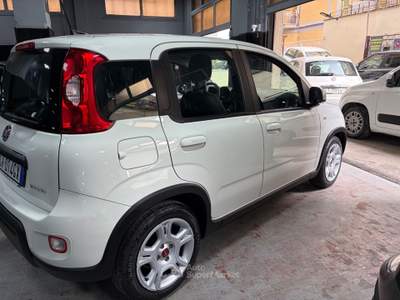 Fiat Panda Cross 1.0 FireFly S&S Hybrid Bianco usata Roma