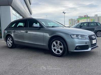 Audi A4 Avant 2.0 TDI 120CV F.AP. Start Grigio usata Savignano sul Rubicone