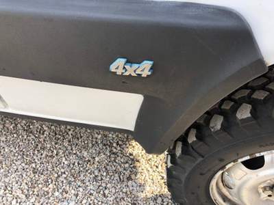 Fiat Panda 1000 4x4 Trekking Bianco usata Badia Pol. Via Ca'Mignola Nuo.1230
