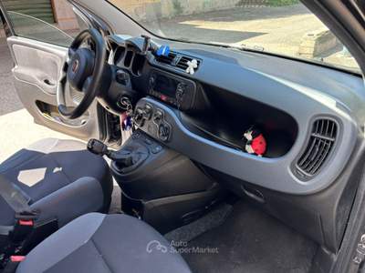 Fiat Panda fiat panda allestimento trussardi Nero usata Brandizzo