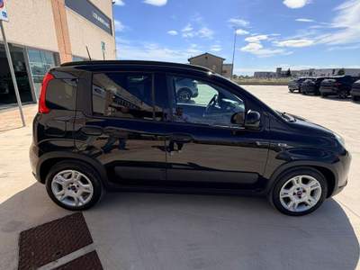 Fiat Panda PANDA 1.0 HYBRID - NERO CINEMA Nero usata Lanciano