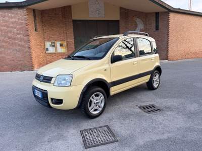Fiat Panda 4x4 Climbing Giallo usata Rimini