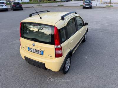 Fiat Panda 4x4 Climbing Giallo usata Rimini