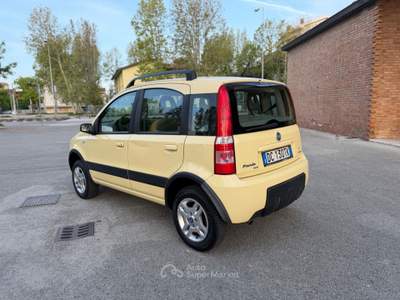 Fiat Panda 4x4 Climbing Giallo usata Rimini