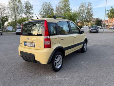 Fiat Panda 4x4 Climbing Giallo usata Rimini