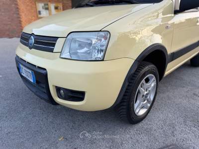 Fiat Panda 4x4 Climbing Giallo usata Rimini