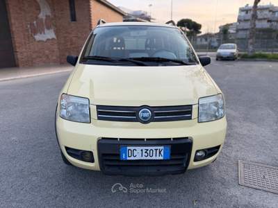 Fiat Panda 4x4 Climbing Giallo usata Rimini
