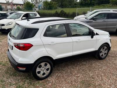 Ford EcoSport Ecoblue 100 CV Start&Stop Business Bianco usata Rimini
