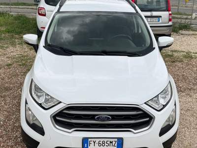 Ford EcoSport Ecoblue 100 CV Start&Stop Business Bianco usata Rimini