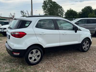 Ford EcoSport Ecoblue 100 CV Start&Stop Business Bianco usata Rimini