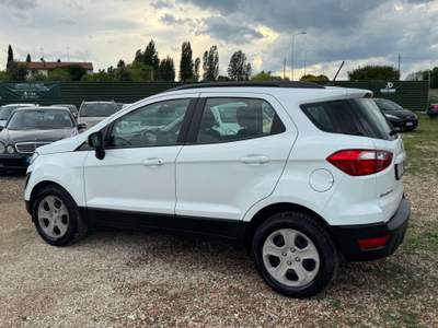 Ford EcoSport Ecoblue 100 CV Start&Stop Business Bianco usata Rimini