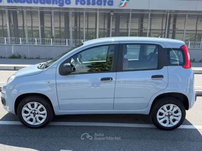 Fiat Panda Turbo Natural Power Easy Grigio usata Torino