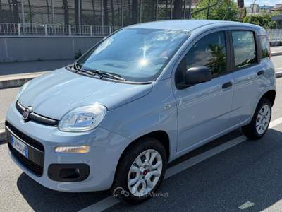 Fiat Panda Turbo Natural Power Easy Grigio usata Torino