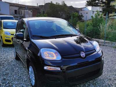 Fiat Pandina FIAT PANDINA 1.0 HYBRID 65CV ICON Nero usata Torregrotta
