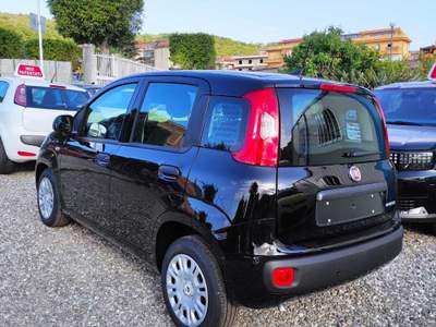 Fiat Pandina FIAT PANDINA 1.0 HYBRID 65CV ICON Nero usata Torregrotta