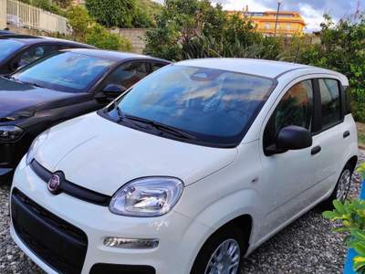 Fiat Pandina FIAT PANDINA 1.0 HYBRID 65CV POP Bianco usata Torregrotta