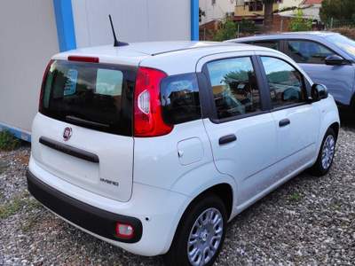 Fiat Pandina FIAT PANDINA 1.0 HYBRID 65CV POP Bianco usata Torregrotta
