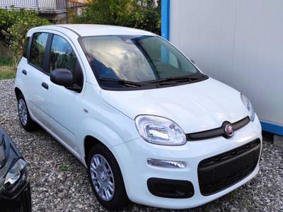 Fiat Pandina FIAT PANDINA 1.0 HYBRID 65CV POP Bianco usata Torregrotta